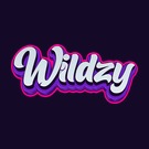Logo Wilzy Casino